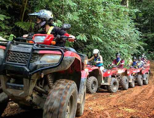 ATV Tours vs. Ziplining: Which Costa Rica Adventure Is Right for You?