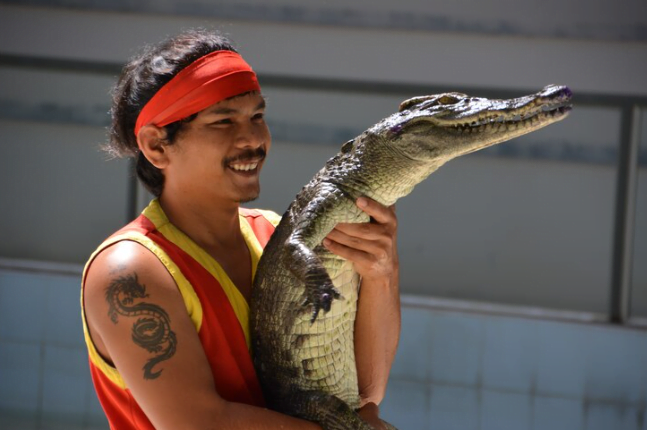 Crocodile Man Tour Costa Rica