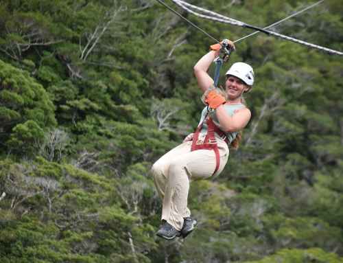 Unleash Your Wild Side with ATV Adventure Tours in Jaco – AXR Jaco