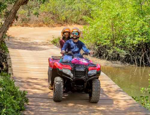 ATV Tours vs. Hiking: Which Adventure Is Right for You?