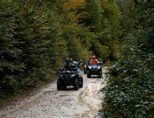Which type of off road vehicle is the best fit for your travel group?