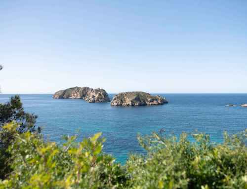 How can you fit both ocean and jungle adventures into a single day itinerary?