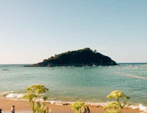 What Packing and Marine Preparation Optimizes an Island Excursion Experience?