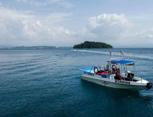 How Much Does a Tortuga Island Tour Cost and What Is Included?