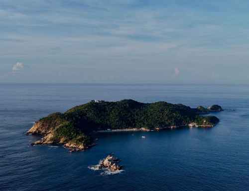 Which Catamaran Vessel and Departure Option Best Fits Your Day Trip?